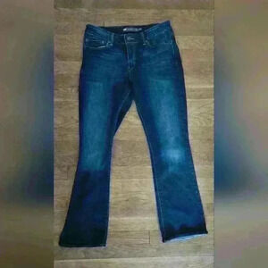 Levi's Dark Wash Boot Cut Demi Curve